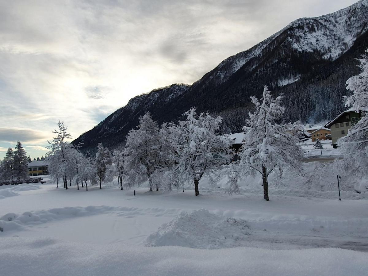 Apartment Bora Villach