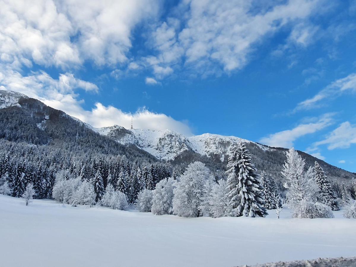 Bora * Villach